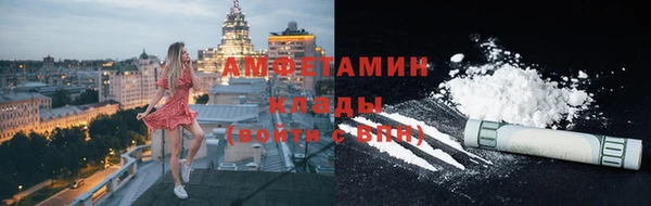 2c-b Инсар