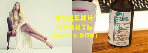 mix Инта