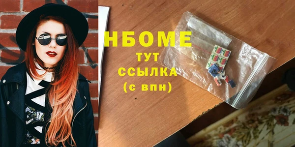 2c-b Инсар