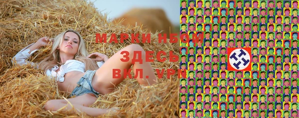 mix Инта