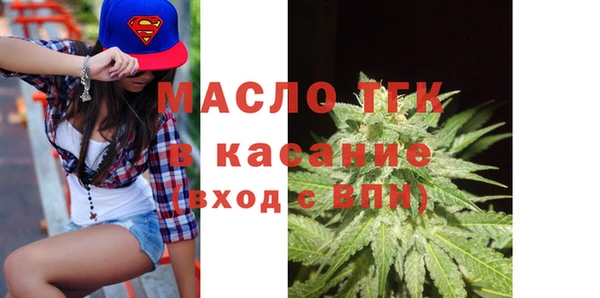 mix Инта