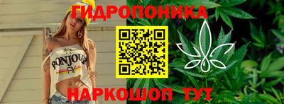 твердый Краснознаменск