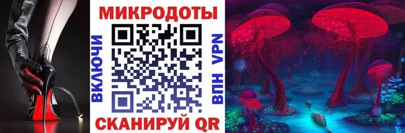 наркотики  Ирбит  Псилоцибиновые грибы Psilocybine cubensis 