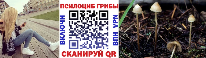 Галлюциногенные грибы Cubensis Ирбит