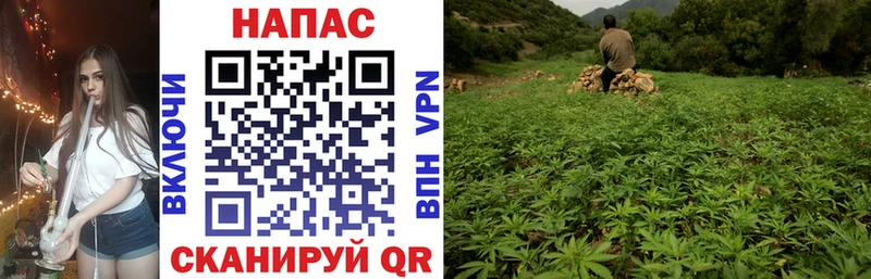 цена наркотик  Ирбит  МАРИХУАНА THC 21% 